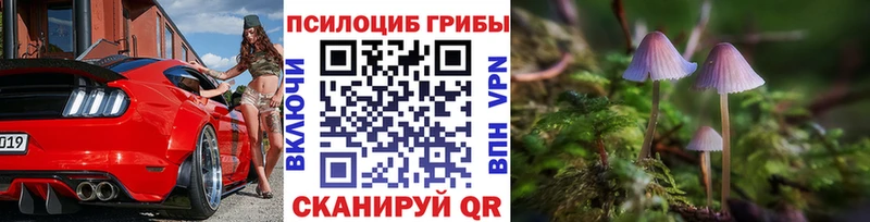 Галлюциногенные грибы Psilocybe  купить наркотик  Ливны 