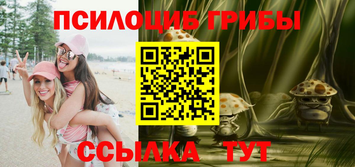 Галлюциногенные грибы ЛСД  продажа наркотиков  Ливны  Вход с VPN 